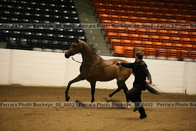 Proof buckeye_08_0402