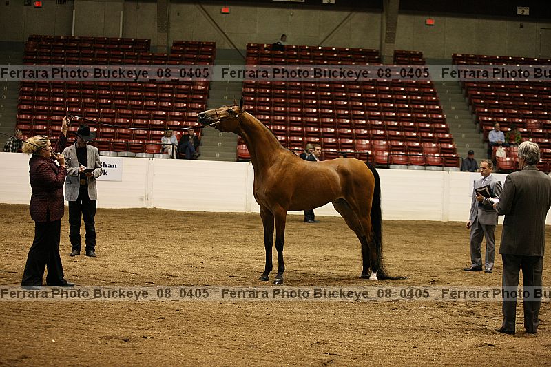 Proof buckeye_08_0405