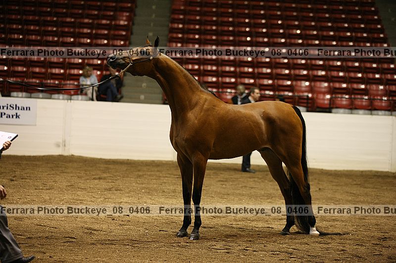 Proof buckeye_08_0406
