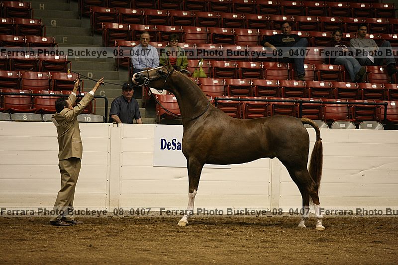 Proof buckeye_08_0407
