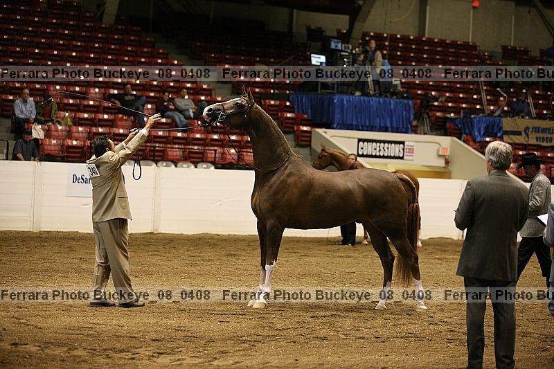 Proof buckeye_08_0408