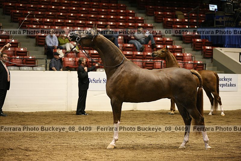 Proof buckeye_08_0409