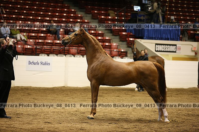 Proof buckeye_08_0413