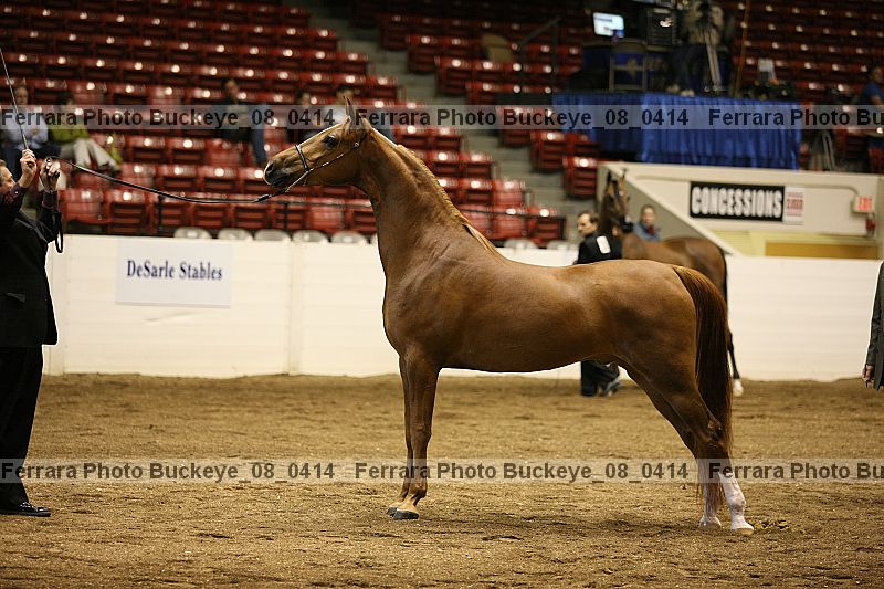 Proof buckeye_08_0414