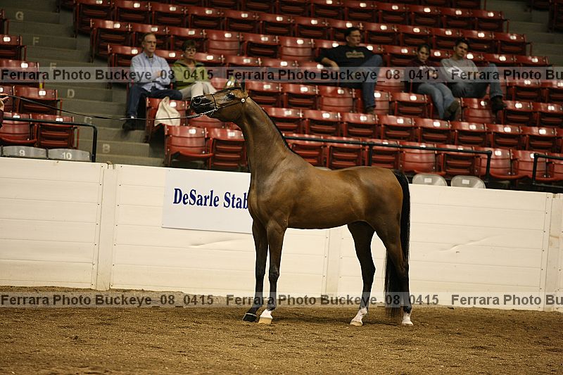 Proof buckeye_08_0415