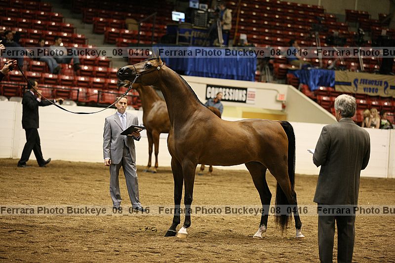 Proof buckeye_08_0416