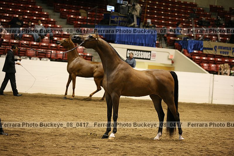 Proof buckeye_08_0417