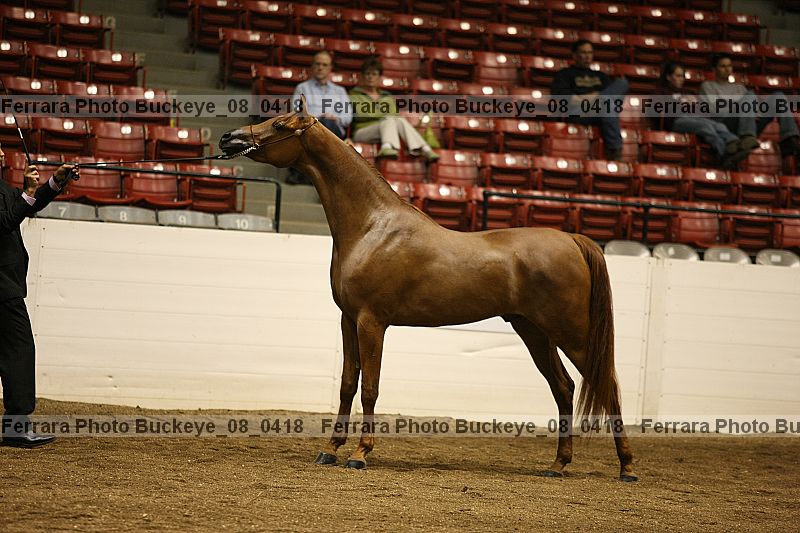 Proof buckeye_08_0418