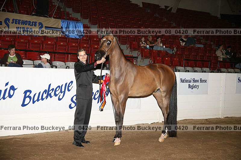 Proof buckeye_08_0420