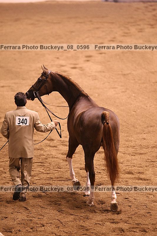 Proof buckeye_08_0596