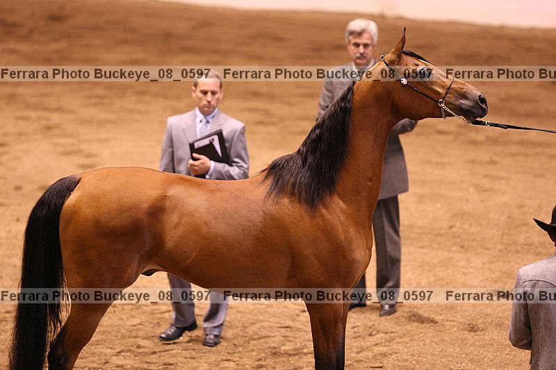 Proof buckeye_08_0597