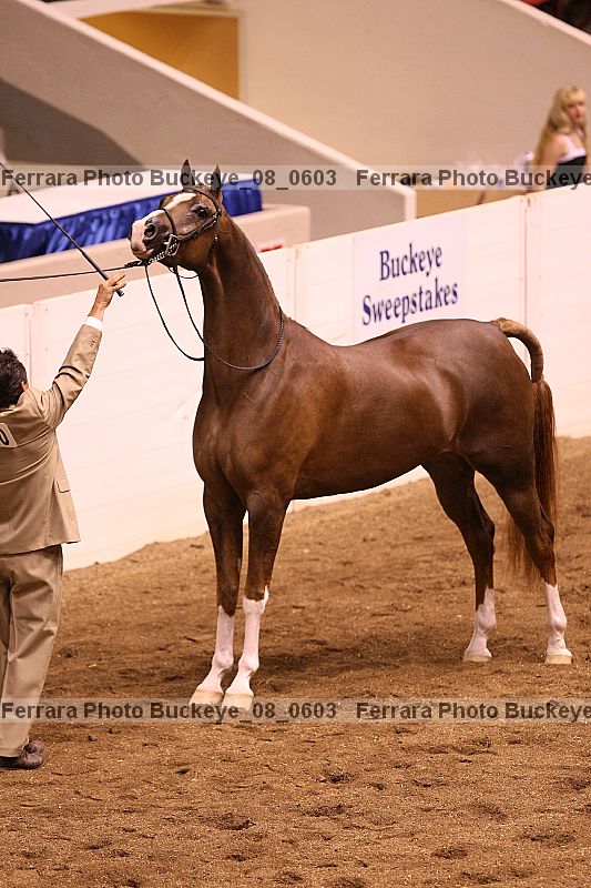 Proof buckeye_08_0603