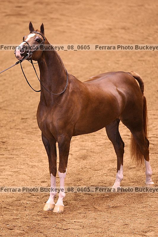 Proof buckeye_08_0605