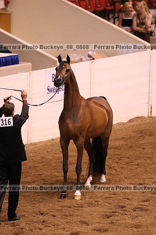 Proof buckeye_08_0608