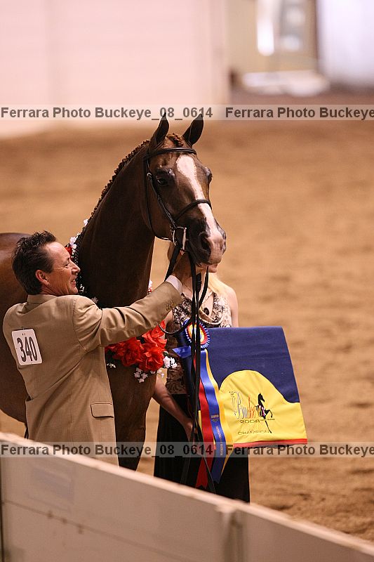 Proof buckeye_08_0614