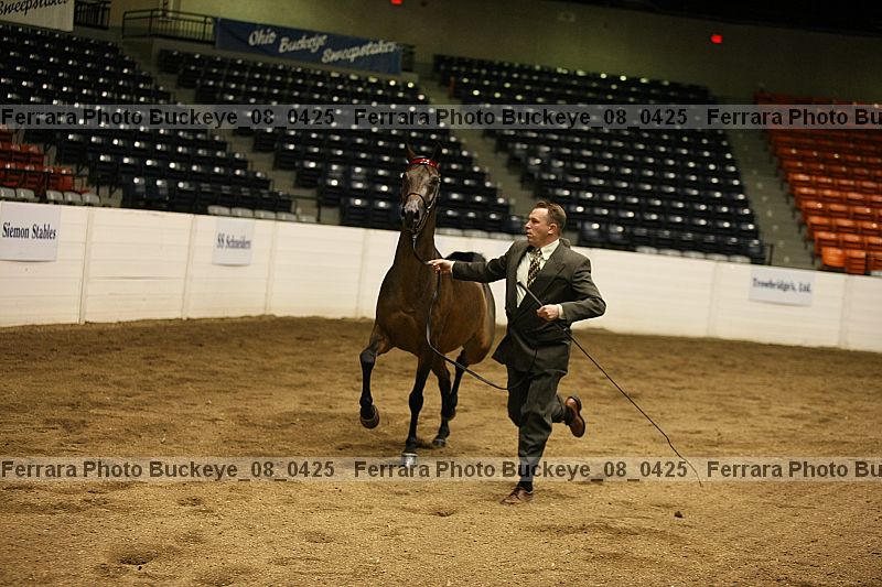 Proof buckeye_08_0425