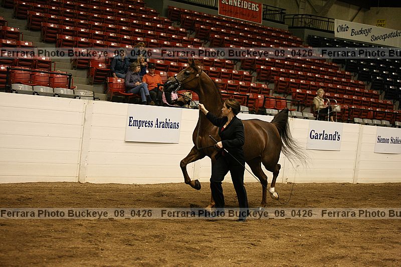 Proof buckeye_08_0426