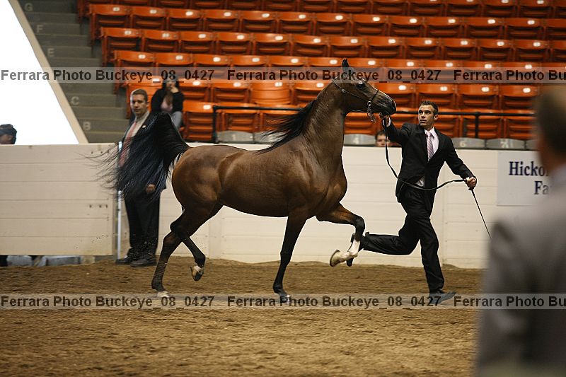 Proof buckeye_08_0427