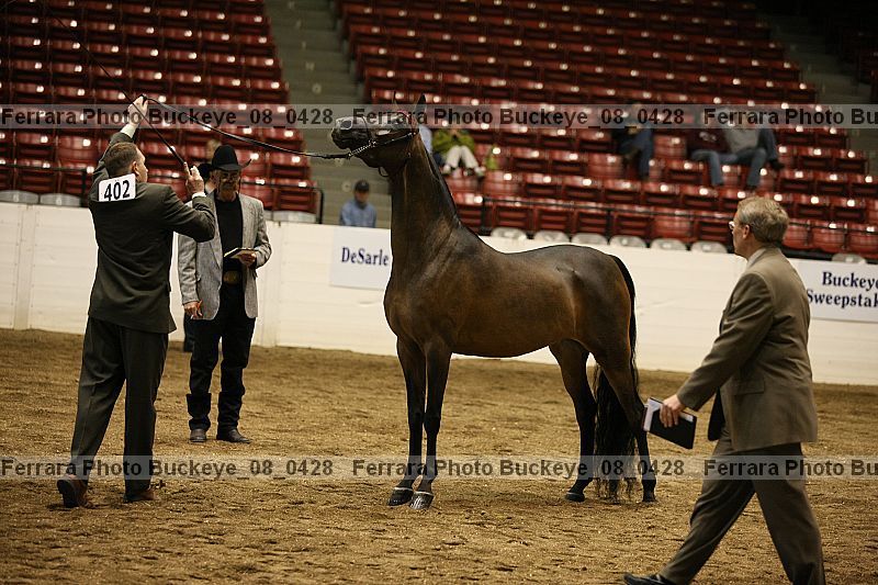 Proof buckeye_08_0428