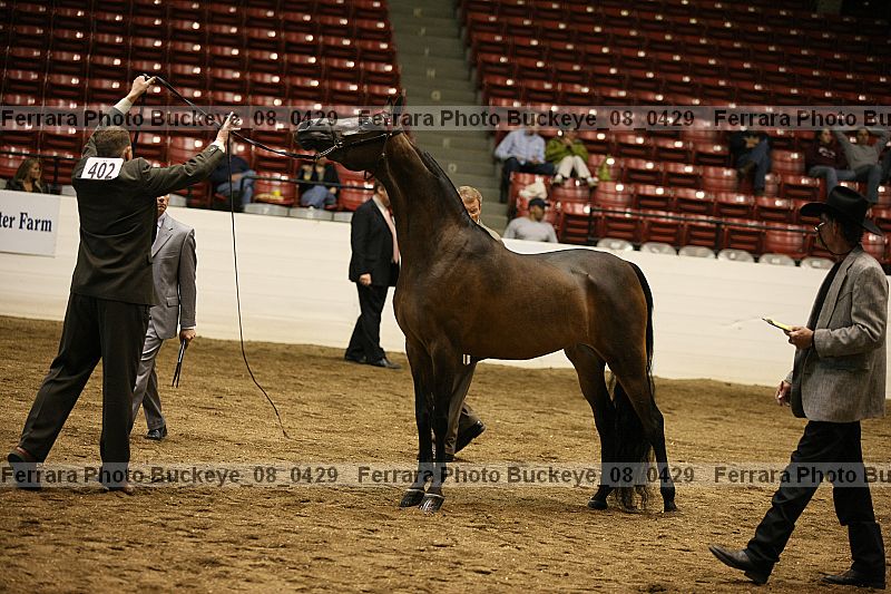 Proof buckeye_08_0429