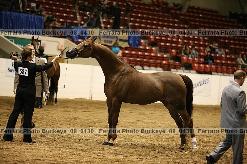 Proof buckeye_08_0430
