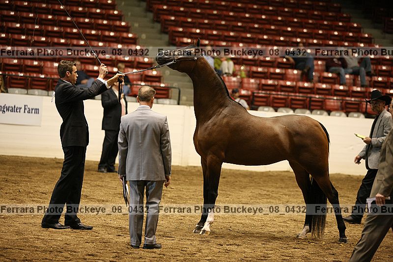 Proof buckeye_08_0432