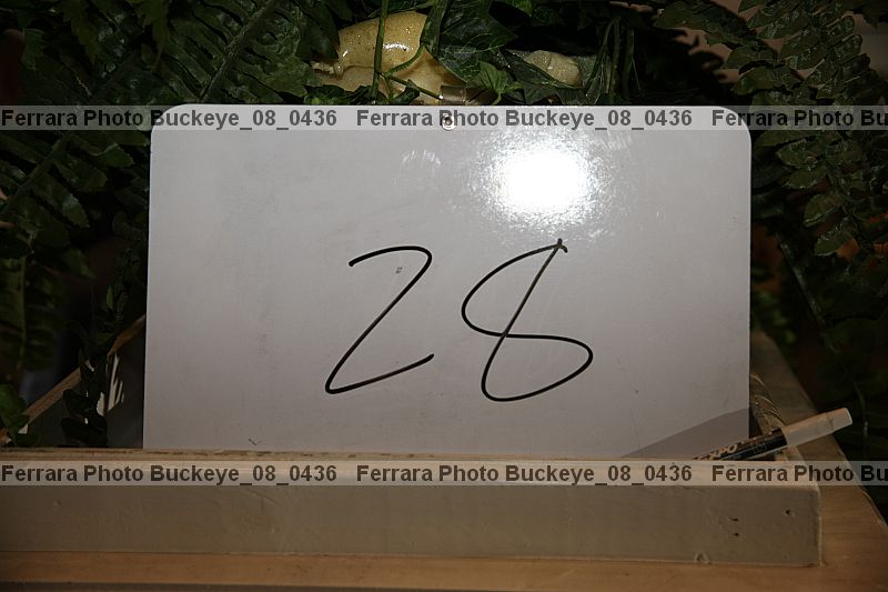 Proof buckeye_08_0436