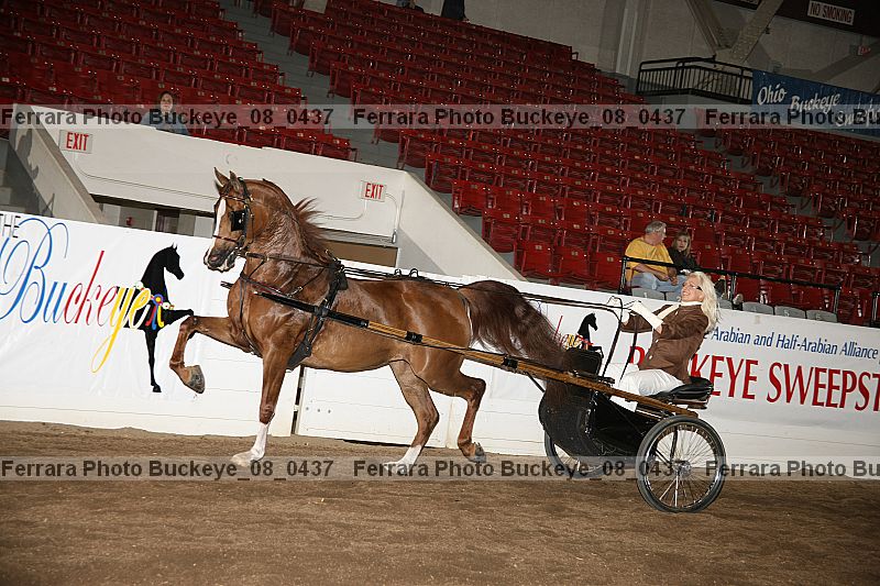 Proof buckeye_08_0437