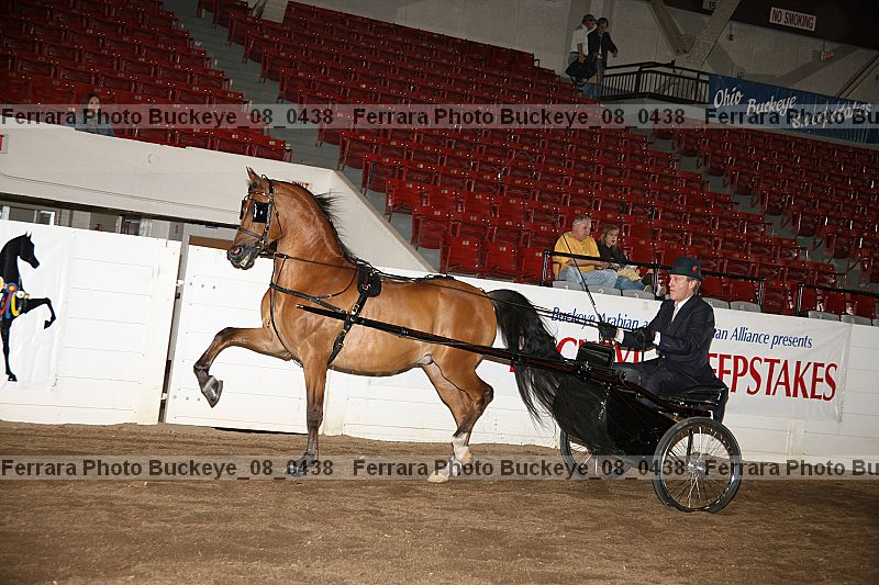Proof buckeye_08_0438
