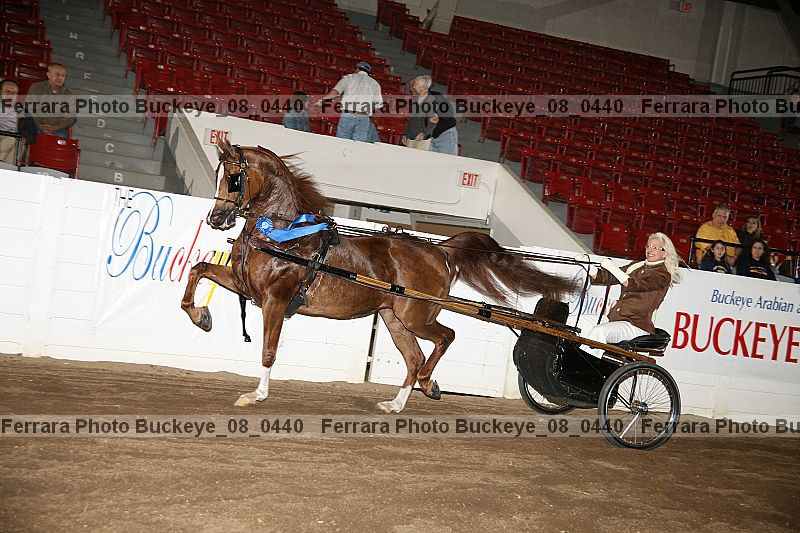Proof buckeye_08_0440