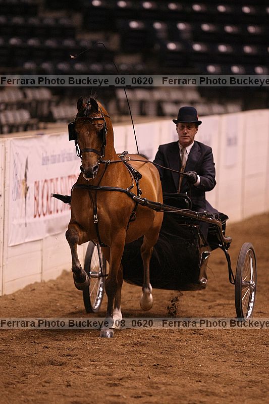 Proof buckeye_08_0620