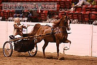 buckeye_08_0623 proof