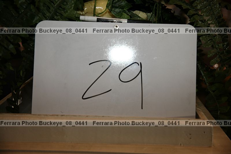 Proof buckeye_08_0441