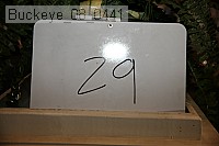 buckeye_08_0441 proof
