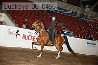 buckeye_08_0455 proof