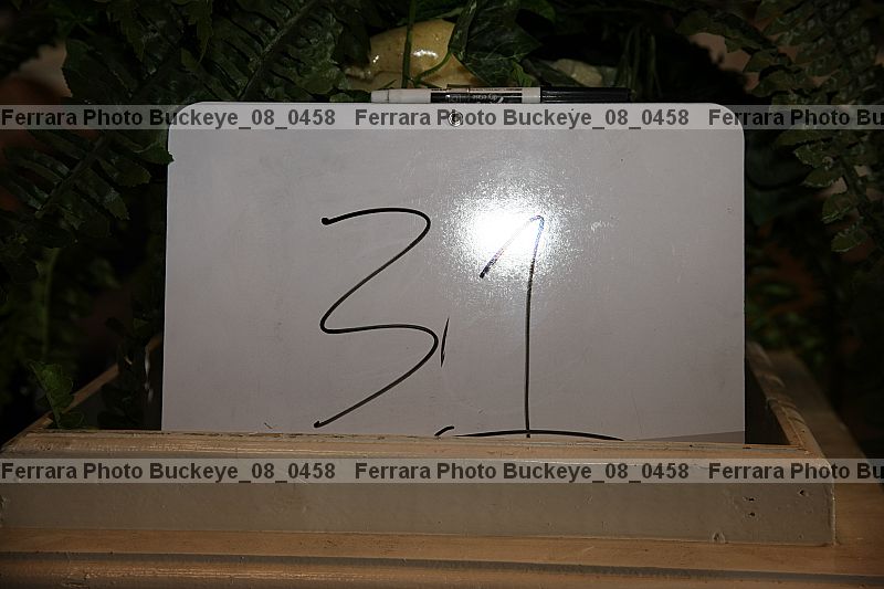 Proof buckeye_08_0458