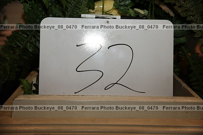 Proof buckeye_08_0470