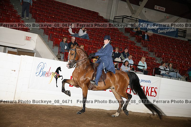 Proof buckeye_08_0471