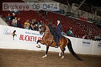 buckeye_08_0474 proof