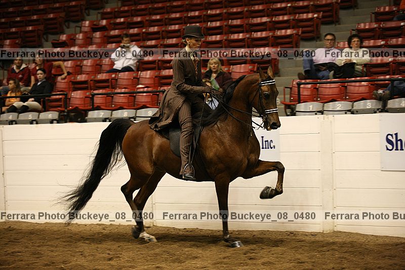 Proof buckeye_08_0480