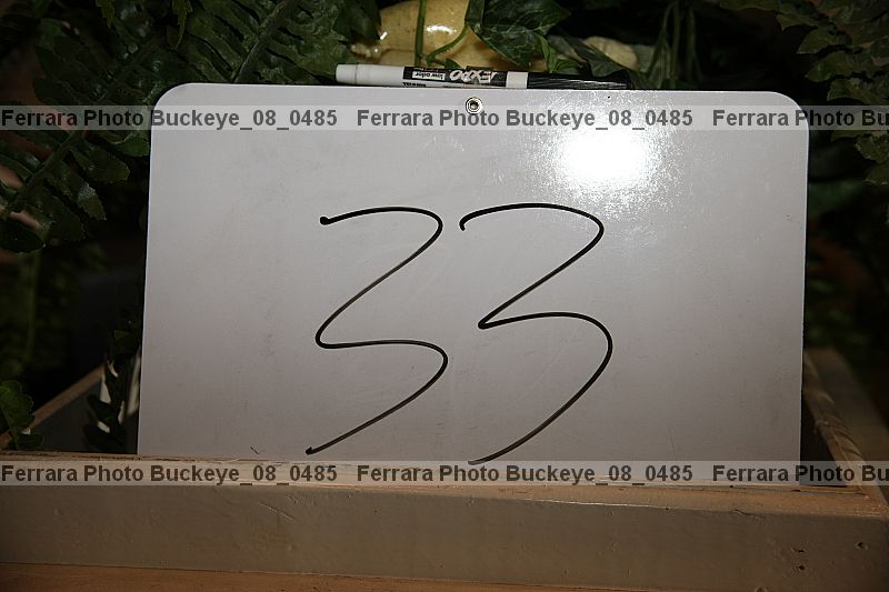 Proof buckeye_08_0485