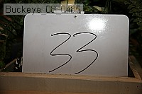 buckeye_08_0485 proof