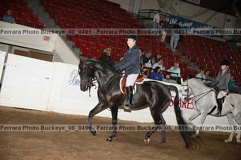 Proof buckeye_08_0491