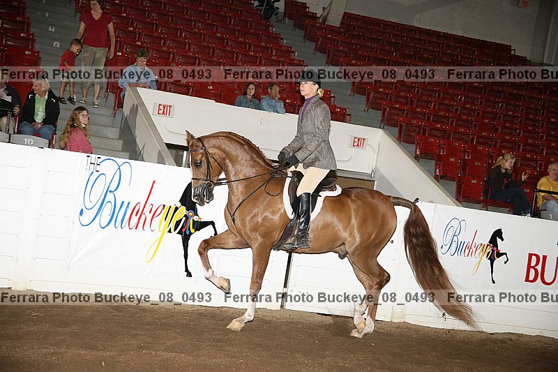 Proof buckeye_08_0493