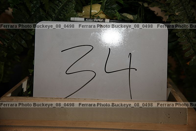 Proof buckeye_08_0498