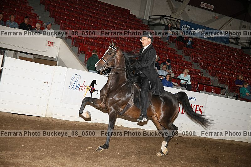 Proof buckeye_08_0500