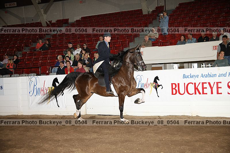Proof buckeye_08_0504
