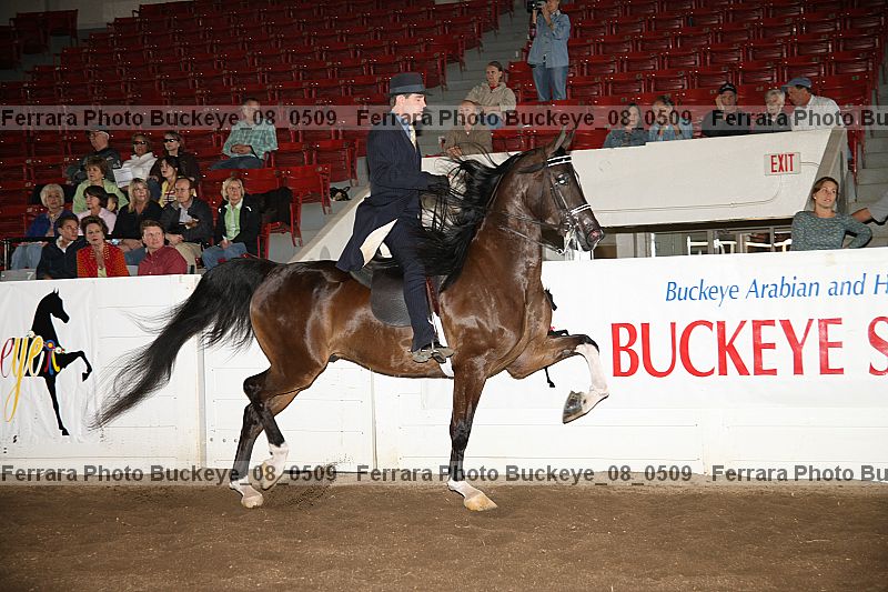 Proof buckeye_08_0509