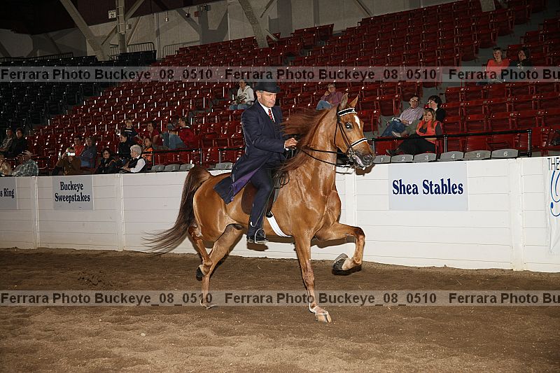 Proof buckeye_08_0510