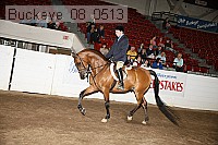 buckeye_08_0513 proof